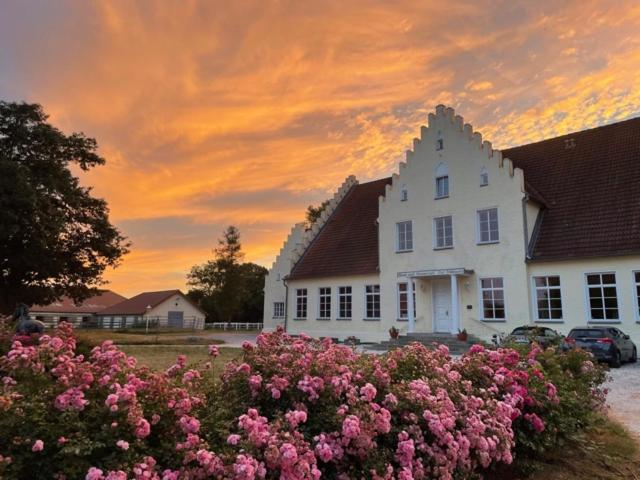 Boutique Hotel Gut Tribbevitz Neuenkirchen auf Rugen Exterior photo
